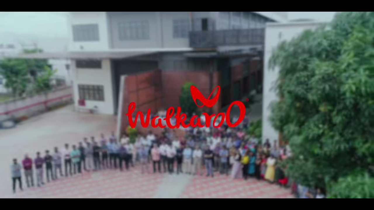 Video 1
